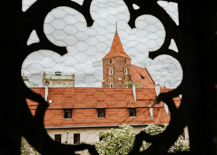 Palac Zieleniewskich Sw Marka 31 克拉科夫