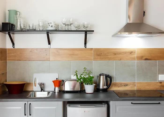 公寓 Palac Zieleniewskich Sw Marka 31 克拉科夫